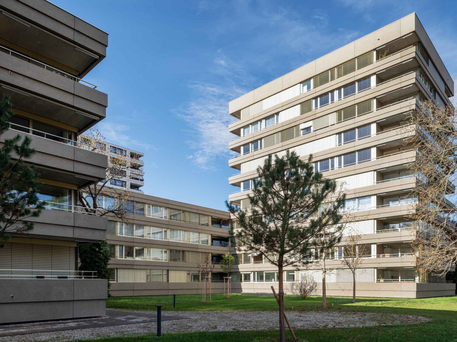 Neubau der Wohnüberbauung Rhodonia in Basel