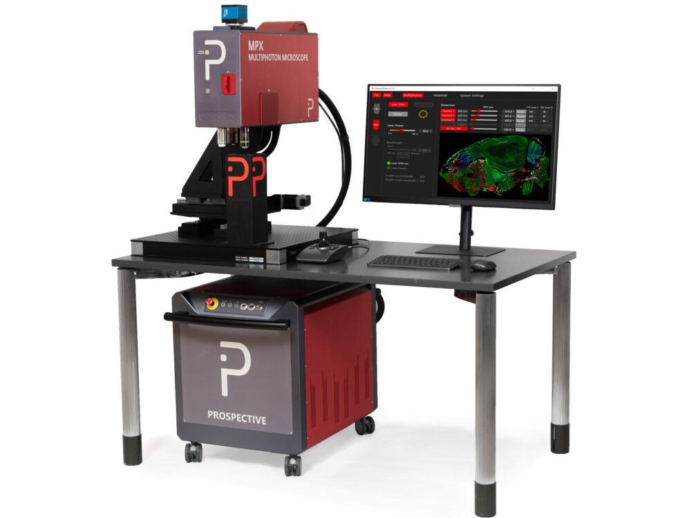 Fertig montiertes Multiphotonenmikroskop von Prospective Instruments